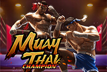 Muay Thai Champion